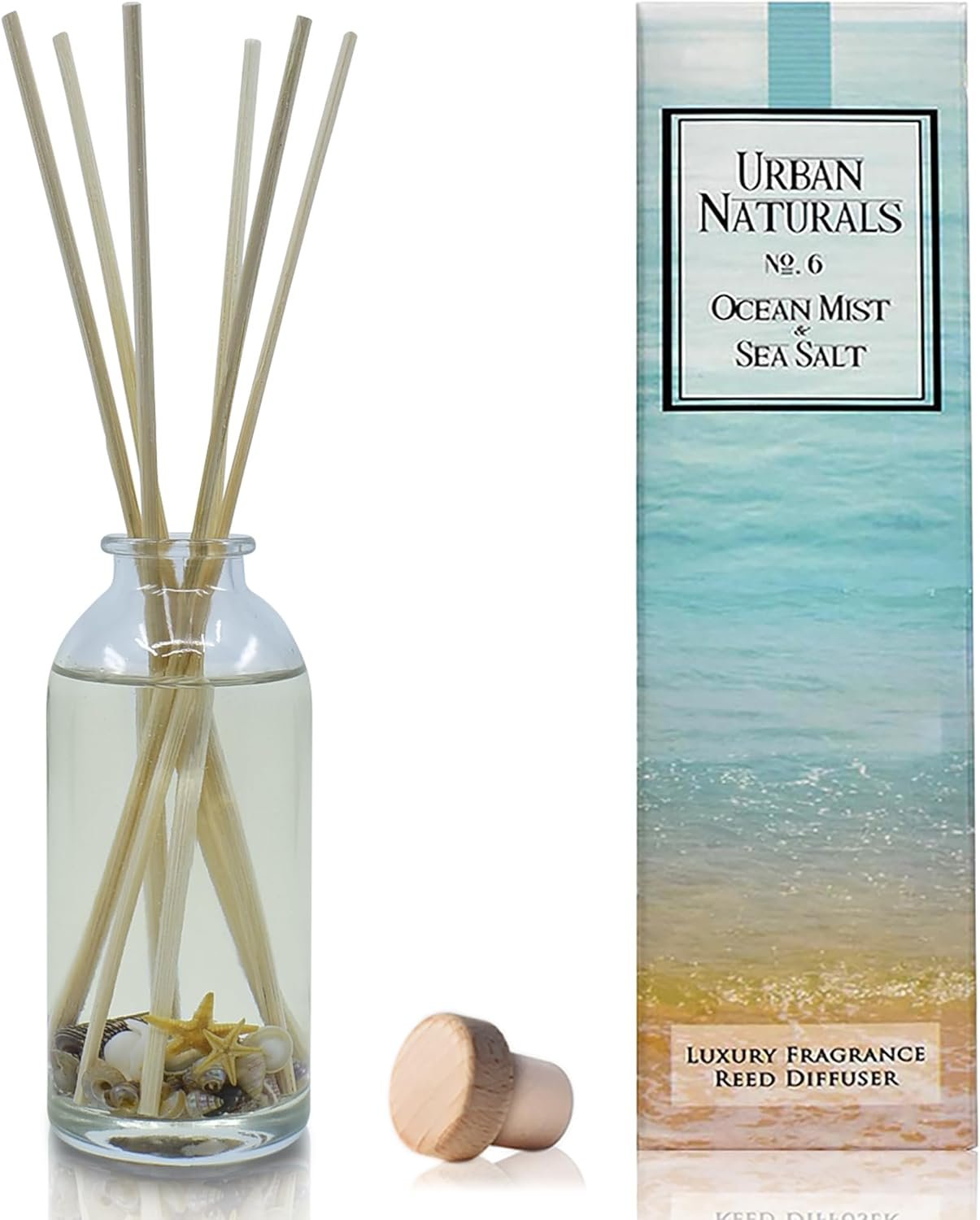 Urban Naturals Ocean Mist & Sea Salt Reed Diffuser Set | Made with Essential Oils & Real Seashells | Decorative Air Freshener Room Diffuser