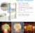 Alitamei Rustic Mason Jar Sconces for Home Decor, Decorative Hanging Mason Jars Wall Sconces Decor with LED Fairy Lights 6-Hour Timer Silk Hydrangea Flowers for Farmhouse Home Wall Decor (Set of 2)