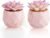 Artificial Succulent Plants in 2 Pink Ceramic Pots, Cute Fake Plants for Vanity Decor,Office, Desk, Bathroom, Kitchen,Bedroom, Shelves Decor for Women,Girls Gift