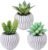Winlyn Set of 3 Artificial Succulents Plants in Mini Gray and White Geometric Cement Pots Faux Potted Plants Aloe Pachyphytum Succulent Donkey Tail Small Plant for Home Office Table Shelf