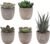 Set of 5 Artificial Succulent Plants in Pots – Lifelike Fake Succulents for Desk Decor, Low-Maintenance Home & Office Decor Gift