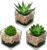 Briful Set of 3 Succulents Plants Artificial in Glass Pots Small Fake Succulents Plants Faux Plants Indoor for Home Office Table Desk Shelf Room Decor