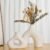 CEMABT White Ceramic Vase Set of 2 for Modern Minimalist Bohemian Decor，Round Matte Donut Vases for Pampas Grass-Perfect for Living Room, Dining Table, Office Bedroom Shelf Decor Entryway, Console