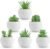 Der Rose 6 Pack Fake Plants Small Realistic Succulents Plants Artificial for Home Room Decor Indoor