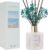 COCORRÍNA Reed Diffuser – Ocean Breeze Scented Diffuser with 8 Sticks Home Fragrance Reed Diffuser for Bathroom Shelf Decor